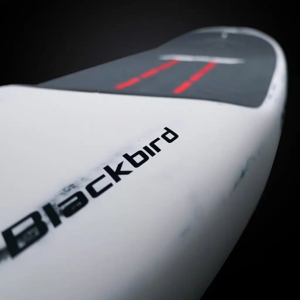 Blackbird V3