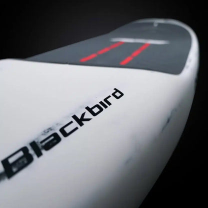 Blackbird V3